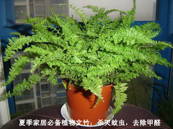 江西師大斯坦福環(huán)境研究中心,歡迎大家的瀏覽,本站是做關(guān)于南昌檢測和南昌除甲醛的一個門戶網(wǎng)站。 江西師大斯坦福環(huán)境研究中心,歡迎大家的瀏覽,本站是做關(guān)于南昌檢測和南昌除甲醛的一個門戶網(wǎng)站。